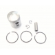 Piston SoleX
