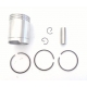 Piston SoleX