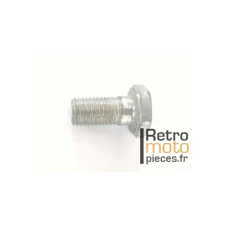 Vis de glissière moteur SoleX (8x100)