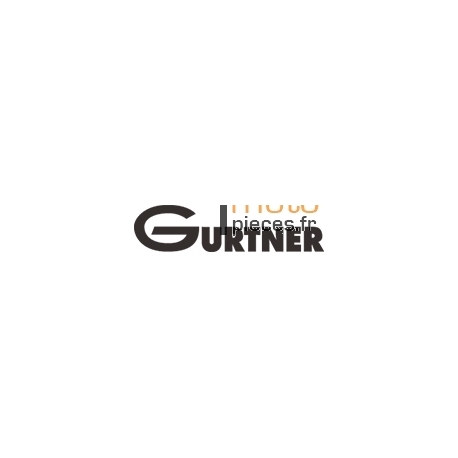 Carburateur origine GURTNER AR1/11.5 Cady